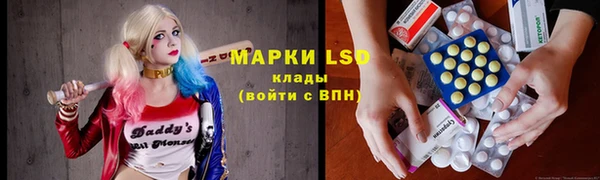 гидра Анжеро-Судженск