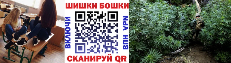 купить наркотики сайты  Котельнич  Марихуана индика 